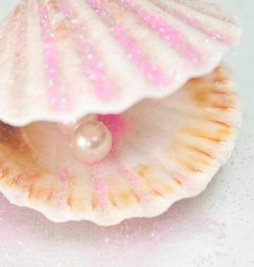 Shell wuth pearl clipart