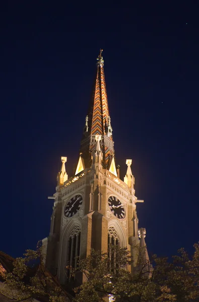 stock image Night shoot of church