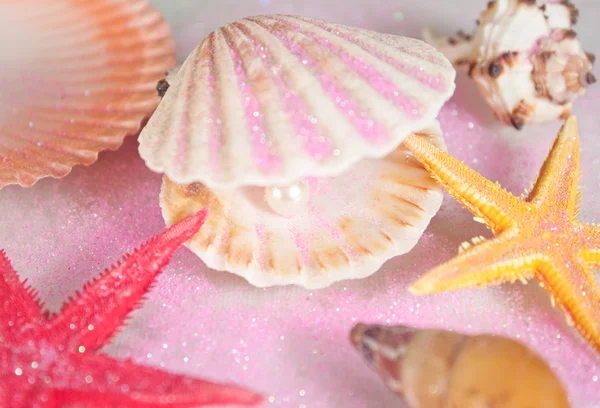 Shells and pearl — Stock Photo, Image