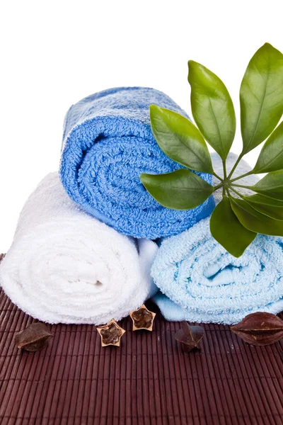 Towels decorated with beans and plant — Stock Photo, Image