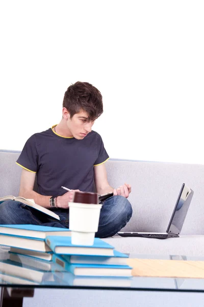 Male student learning — Stock Photo, Image