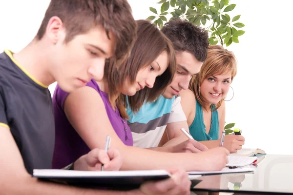 Student studying with her friends — Stock Photo, Image