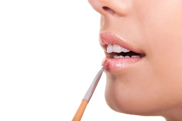 Fechar de um lábio e escova — Fotografia de Stock