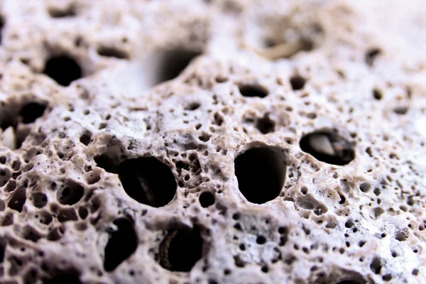 Close-up of stone — Stock Photo, Image
