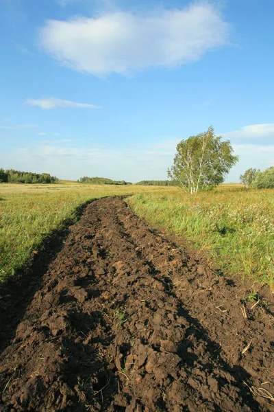 Yaz manzara. Bozuk zemin