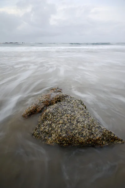 Roca en la playa —  Fotos de Stock