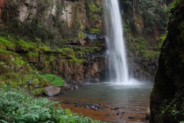 Yalnız creek şelale