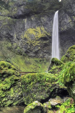 Elowah Falls in Columbia Gorge clipart