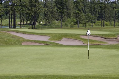 Bayrak direği marker golf sahası üzerinde