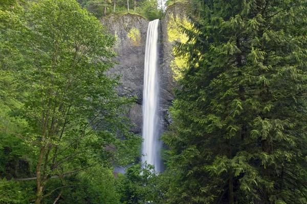 Latourell Falls Oregon — Stock Photo, Image