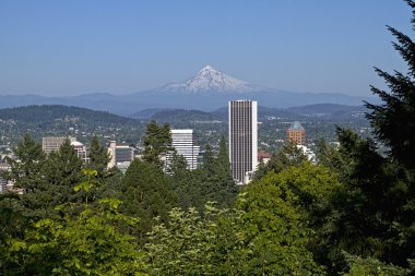 Portland oregon manzarası ve mount hood 2