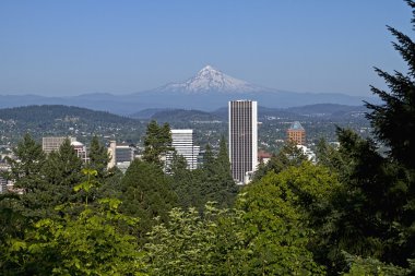 Portland Oregon Skyline and Mount Hood 2 clipart