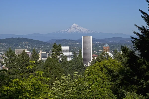 Portland oregon skyline och mount hood 2 — Stockfoto