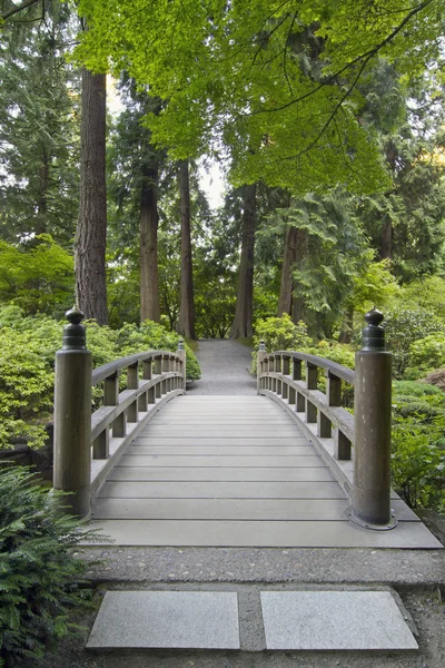 日本庭園で木製の橋 — ストック写真