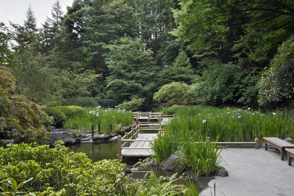 Zig zag 다리 일본 정원 — 스톡 사진