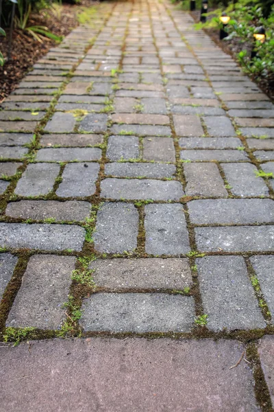Brick Pavers Garden Path — Stock Photo, Image