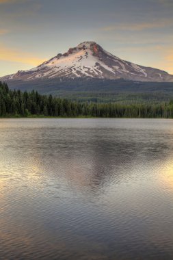 Mount hood trillium Gölü 2