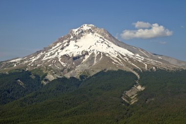 Mount Hood Hiking Trail 2