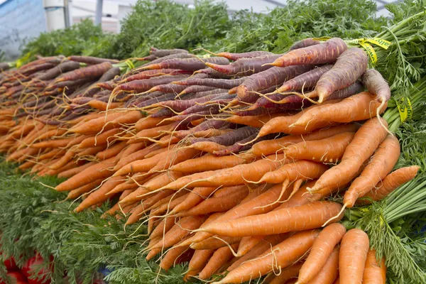 Ekologiskt odlade morötter — Stockfoto