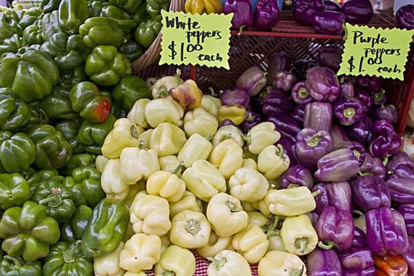 Зеленый белый и фиолетовый болгарский перец — стоковое фото
