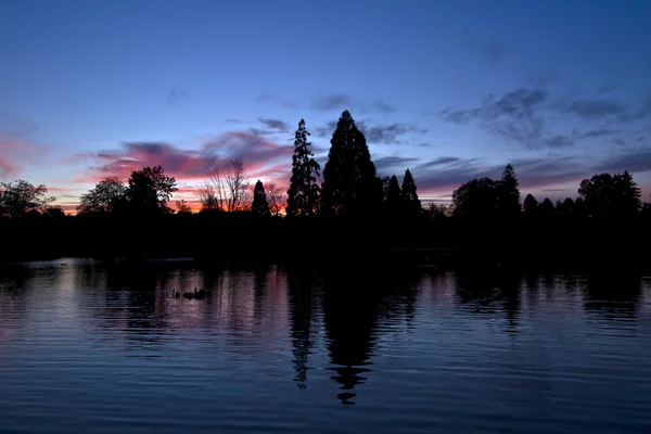 Sunset door het meer 2 — Stockfoto