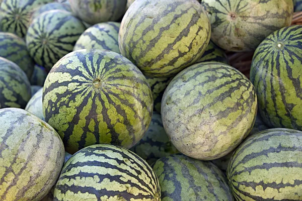 Melon d'eau sans pépins — Photo