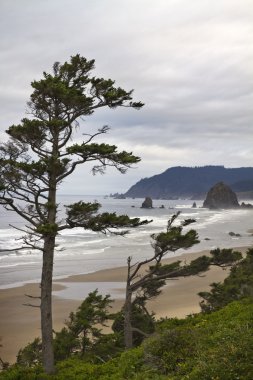 Foggy Morning at Tolovana Beach Oregon 2 clipart