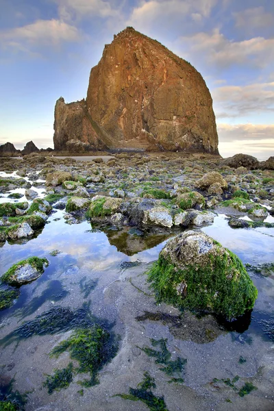 Haystack Rock at Low Tide — Stock Photo, Image