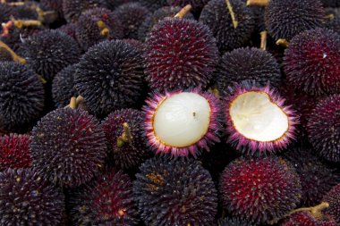 Buah Pulasan Fruit clipart