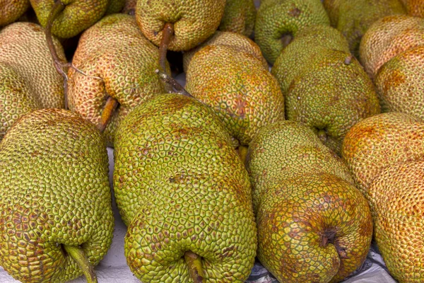 Jackfruit — Stock fotografie