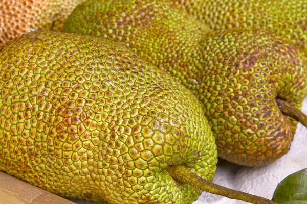 Jackfruit 2 — Stock Photo, Image