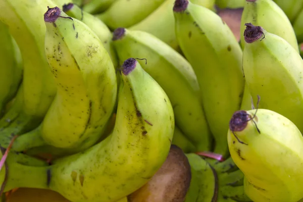 stock image Green Bananas