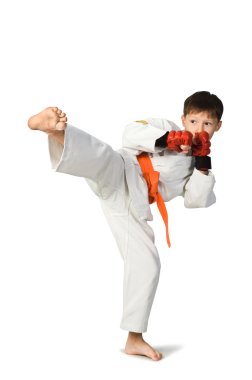 Aikido boy clipart