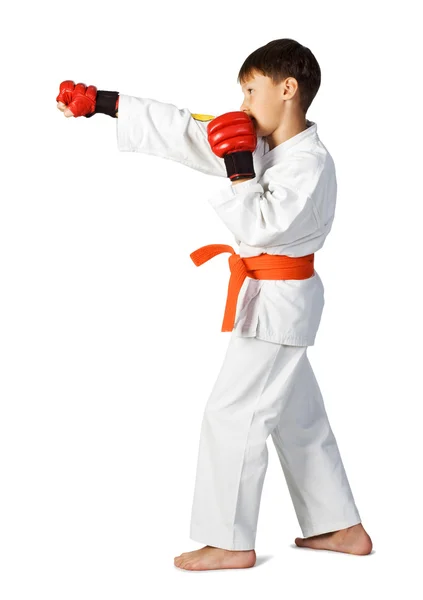 Rapaz Aikido — Fotografia de Stock
