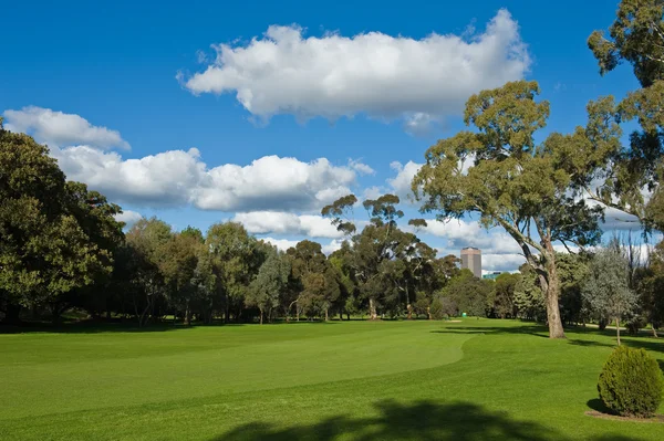 Paesaggio di un campo da golf verde — Foto Stock