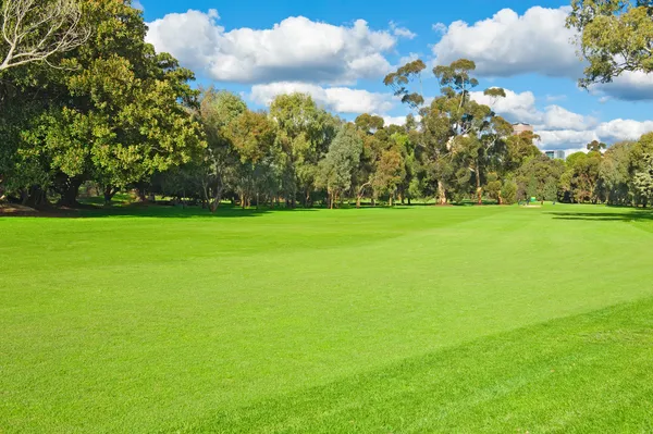 Paisagem de um campo de golfe verde — Fotografia de Stock