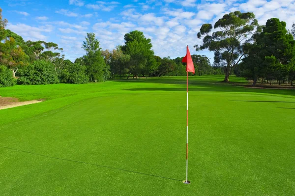 Landskap av ett grönt golf fält — Stockfoto