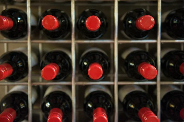 Garrafas de vinho tinto em uma adega — Fotografia de Stock