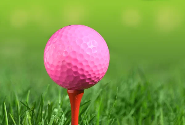 Pelota de golf en una hierba verde — Foto de Stock