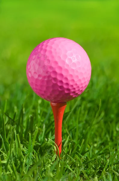 Bola de golfe em uma grama verde — Fotografia de Stock