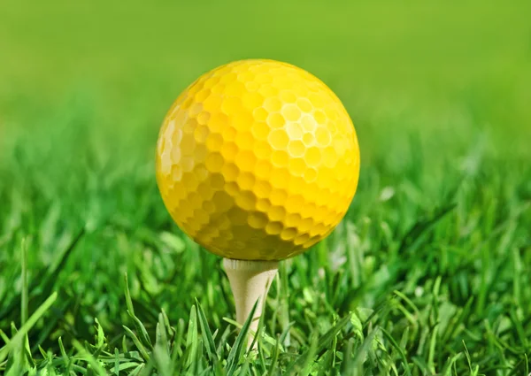 在绿色草地上的高尔夫球场球 — 图库照片