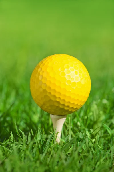 Golf ball op een groen gras — Stockfoto