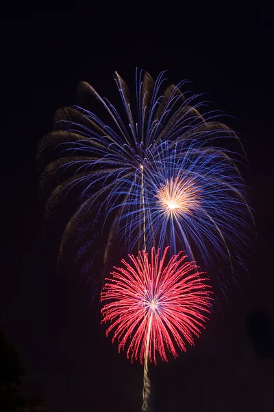 Rotes, weißes und blaues Feuerwerk senkrecht — Stockfoto