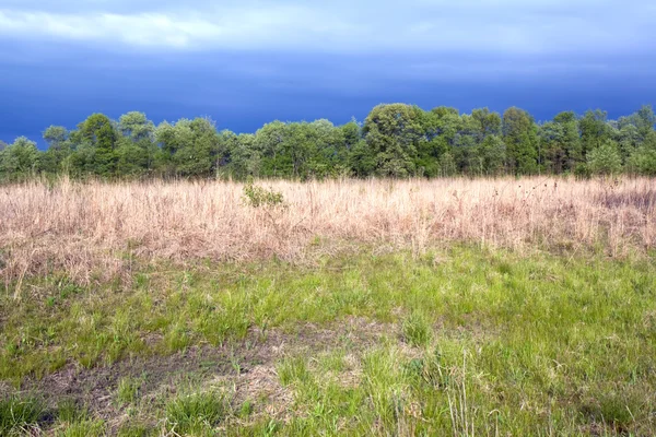 Tallgrass prairie remnant and dramatic sky in spring — Stock Photo, Image