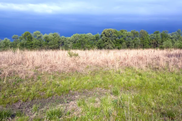 stock image Tallgrass prairie remnant and dramatic sky in spring