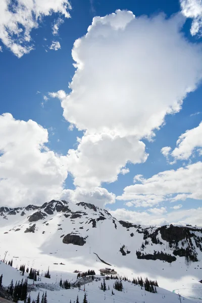 Θέα από την κορυφή του whistler κάθετη — Φωτογραφία Αρχείου