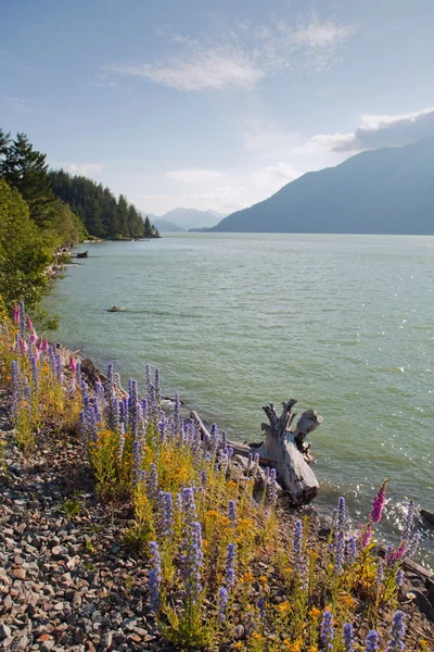 Vista do rio Squamish na Colúmbia Britânica, Canadá — Fotografia de Stock