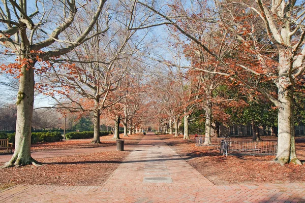 Cegła chodnik w jesieni — Zdjęcie stockowe