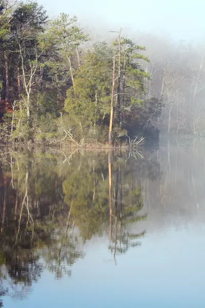 Misty mañana en College Creek en Virginia vertical — Foto de Stock