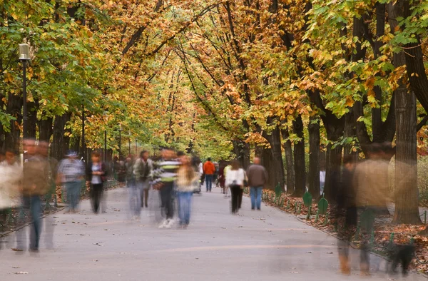 가을 산책 — 스톡 사진